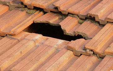 roof repair Dowlish Ford, Somerset