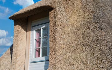 Dowlish Ford thatch roof disadvantages