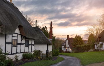 is Dowlish Ford thatch roofing popular